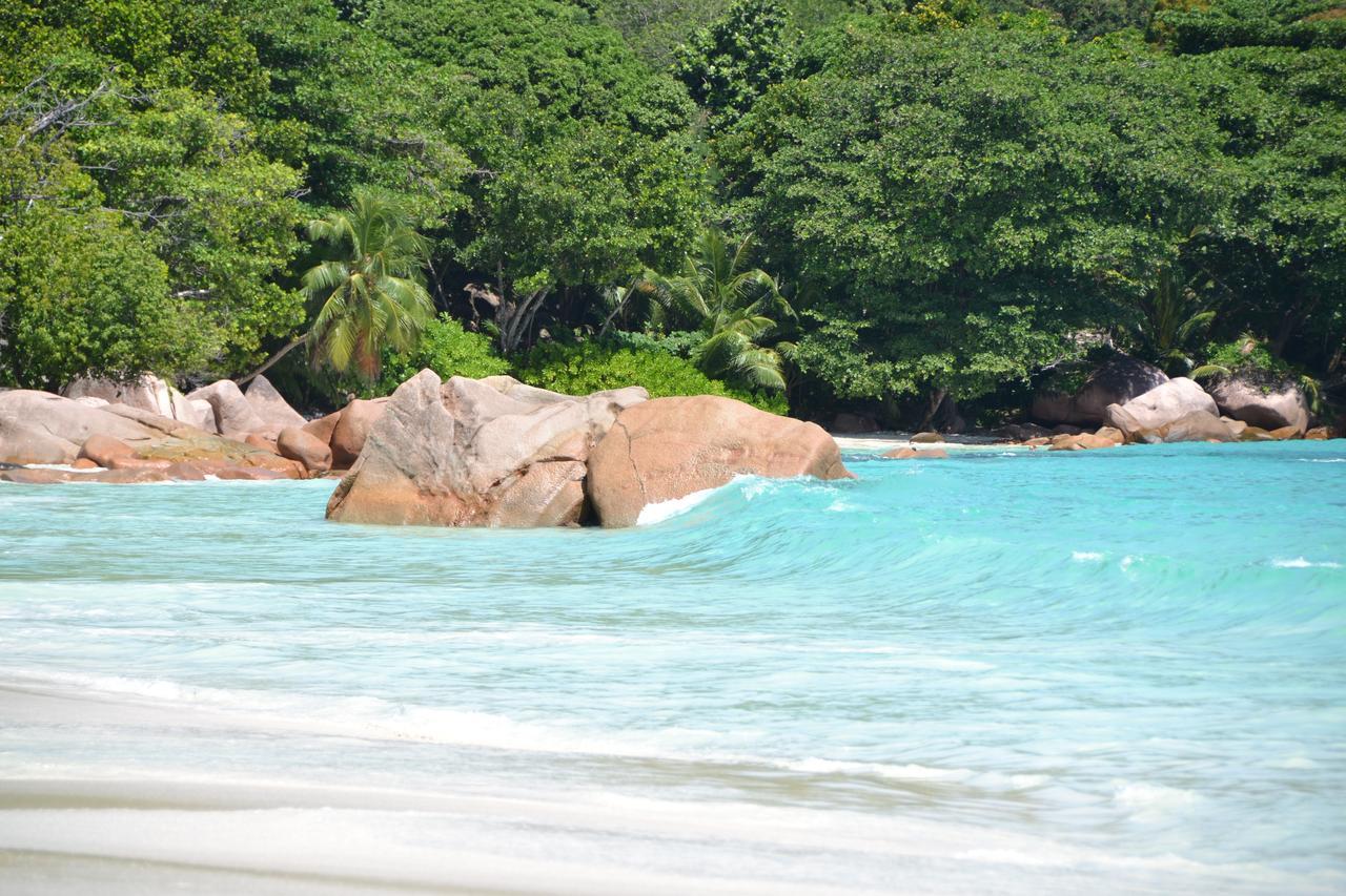 Appartamento The Old School Self-Catering Isola di Isola di Praslin Esterno foto